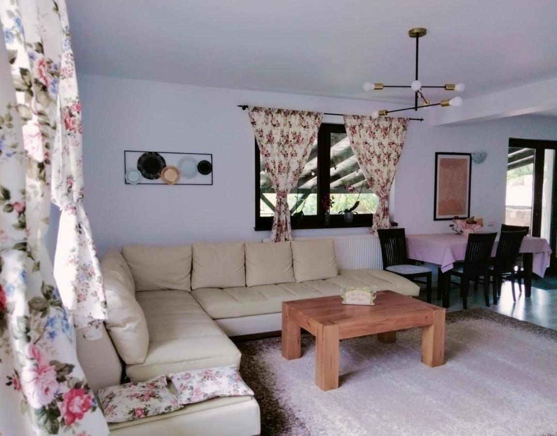 Vila Roxana Pangarati Экстерьер фото