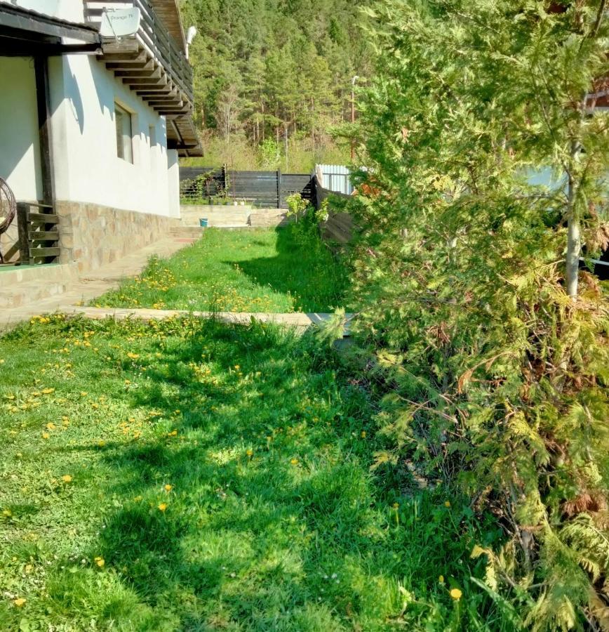 Vila Roxana Pangarati Экстерьер фото