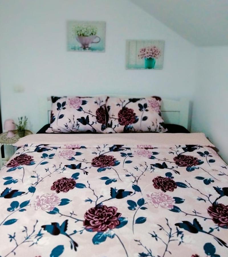 Vila Roxana Pangarati Экстерьер фото
