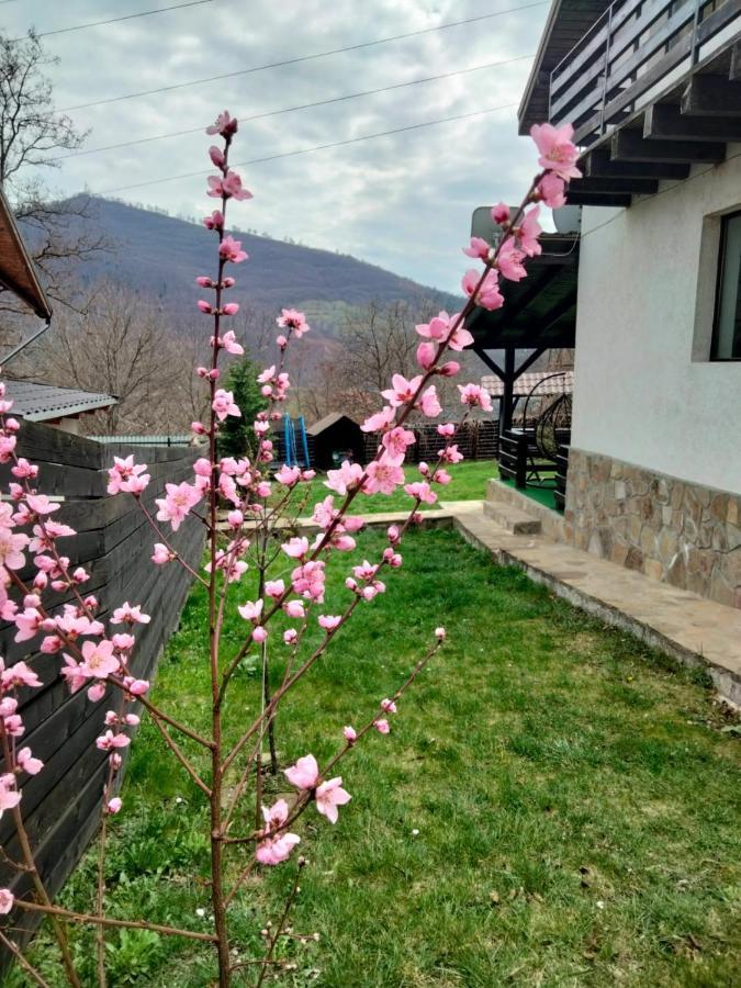 Vila Roxana Pangarati Экстерьер фото