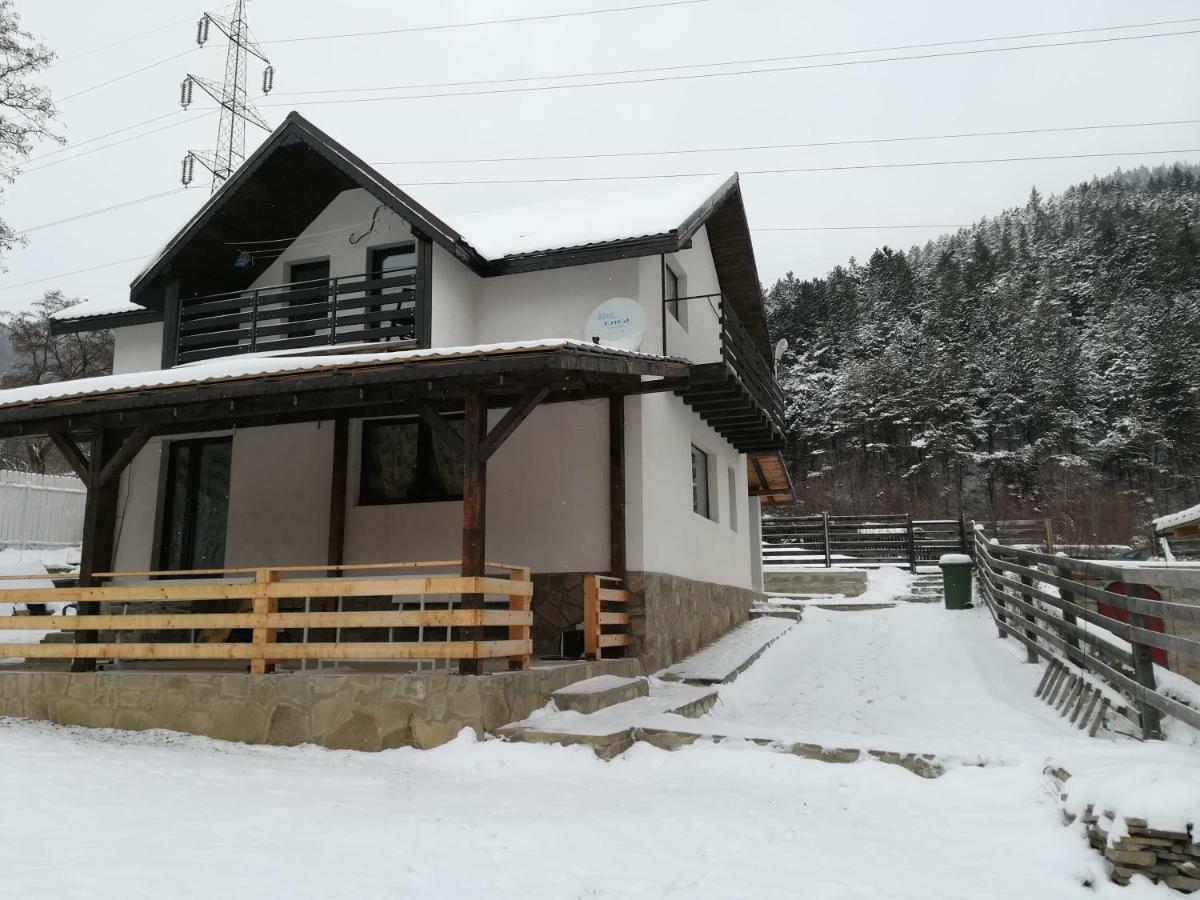 Vila Roxana Pangarati Экстерьер фото