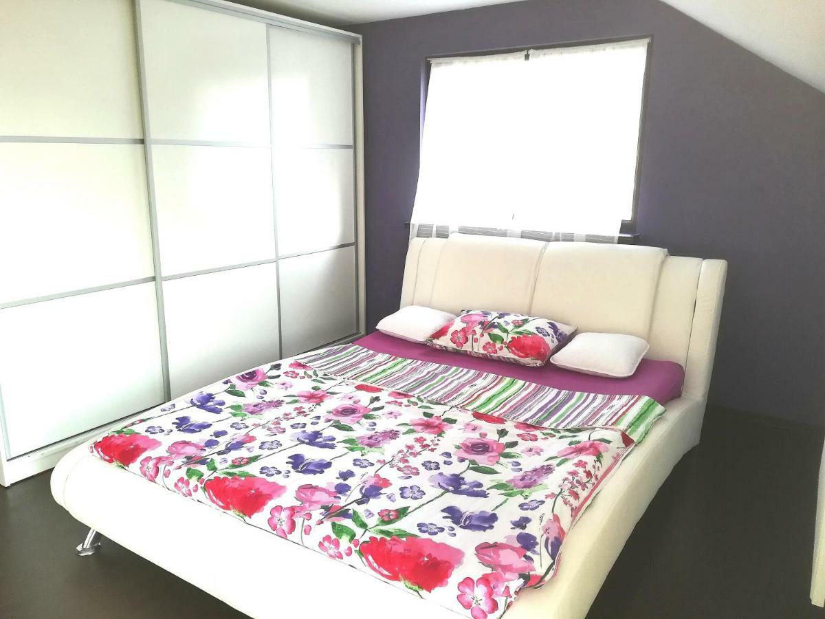 Vila Roxana Pangarati Экстерьер фото